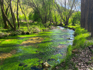 Jucar river in U&ntilde;a in the province of Cuenca in Spain. Spanish landscape photography in Cuenca