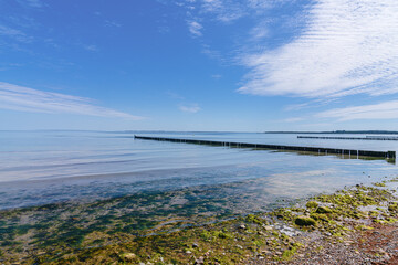 Obraz premium The Baltic Sea coast in Redewisch near Boltenhagen, Mecklenburg-Western Pomerania, Germany