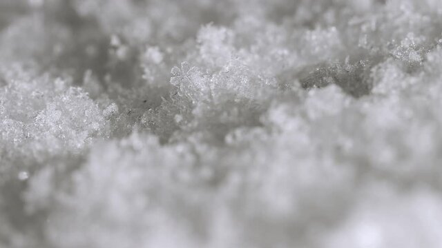 Falling snowflakes gathering