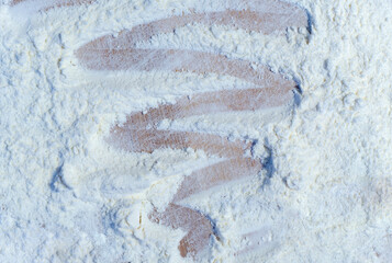 Wavy line zigzag of flour on wooden desk painted by a thinger