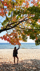 A woman in shorts standing under a colorful tree on the beach in Gdynia, Poland, and enjoying the...