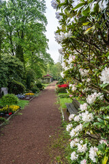 Weg über den Friedhof durch blühende Sträucher 