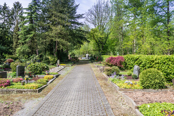 Obraz premium Hauptweg auf dem Waldfriedhof nahe Hösel