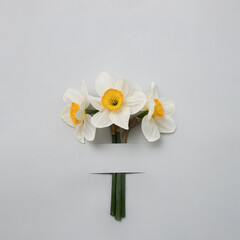 Three daffodils under a strip of paper on a grey background. The concept of spring and postcards for congratulations on an anniversary or a holiday. Minimal modern concept.