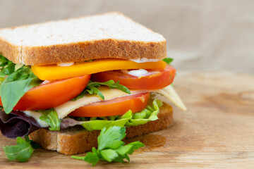 Tasty sandwich with cheese, arugula, tomatoes, lettuce and parsley on a wooden cutting board. View from the side, copy space.