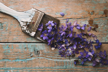 lots of purple flowers on a wooden background