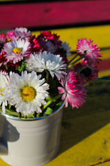 beautiful summer flowers in an iron watering can on a wooden background