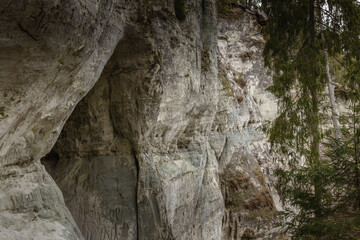 Fototapeta na wymiar Sandstone cliffs of Sietiniezis on the shore of the river Gauja