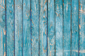 Fototapeta na wymiar The texture of a painted shabby wooden fence with cracked blue-green paint.