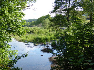 Mündung der Sorpe in den Vorstau der Sorpe Talsperre, Sauerland, Nordrhein-Westfalen, Deutschland