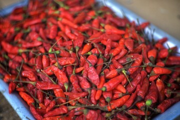 dried chili red