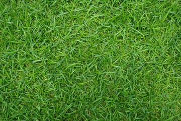 Artificial Grass Field Top View Texture. Green grass texture background. Top view with copy space.