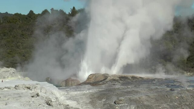 New Zealand. Fountains of geysers and fumaroles.