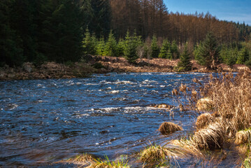 A sunny, spring, 3 shot HDR image of The Otter Pool in the Black water of Dee, Galloway Forest Park, Dumfries and Galloway, Scotland.