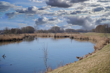 Danube river and its old waters 