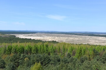 Pustynia Bledowska, wydmy, piasek, dawny poligon wojskowy, Rezerwat Przyrody, Natura 2000, atrakcje...
