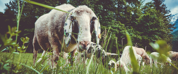 Höllentalklamm / Garmisch-Partenkirchen