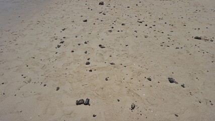 Sand have dirty at the beach