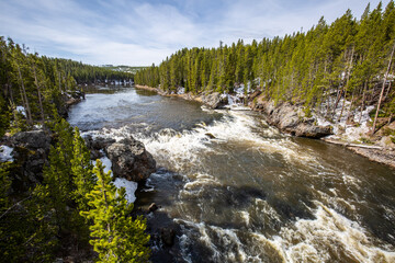 River in Yellowstone National Park