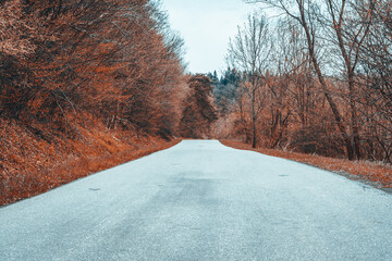 Road in autumn colors
