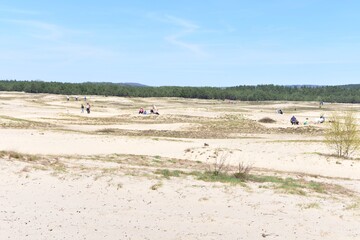 Pustynia Bledowska, wydmy, piasek, dawny poligon wojskowy, Rezerwat Przyrody, Natura 2000, atrakcje , teren rekreacyjny, 