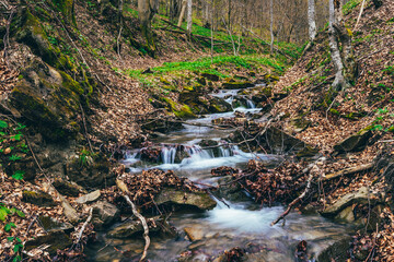 Waterfall in the forest