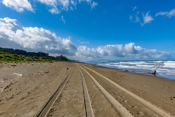 Seascape of Marina di Donoratico beach Tuscany Italy