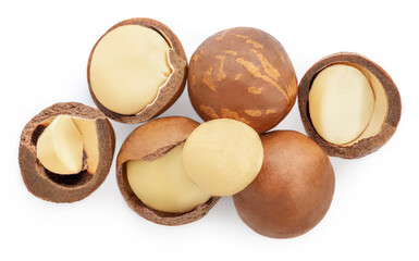 Isolated Macadamia nuts. Organic  macadamia nuts on white background. Collection. Top view. Flat lay..