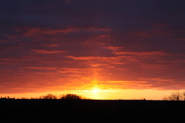 sunset over the field