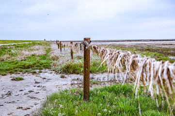 The Wadden Sea at the North Sea in Lower Saxony