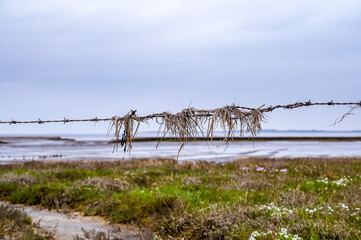 The Wadden Sea at the North Sea in Lower Saxony