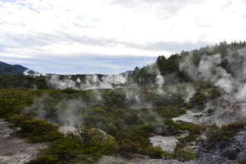 Fototapeta premium Brume sortant de la terre de ces terres géothermales.