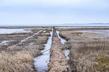 The Wadden Sea on the North Sea coast in Lower Saxony Germany