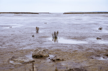 The Wadden Sea on the North Sea coast in Lower Saxony Germany