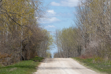 Wylie Rd. at Carden Alvars birding hotspot in Ontario in springtime