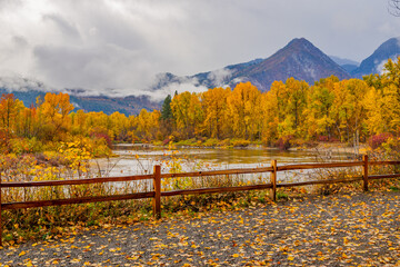 Autumn forest on the riverside, beautiful trees on a background of mountains. Fall colors waterfront park, Leavenworth, Central cascades, Washington