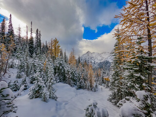 Amazing winter in the mountains. Winter forest covered by snow. Blue lake trail North Cascades national park. USA