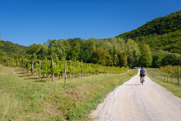 Beautiful cycling path in Dragonja valley