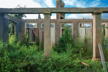 The wall in the an abandoned wrecked house with empty windows and doorway overgrown with green ivy and plants