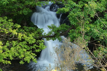 Cascada en el bosque