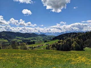 Fototapeta na wymiar View in the Zurich Oberland of the surrounding hills in this beautiful spring season. foresight in the mountains. Swiss