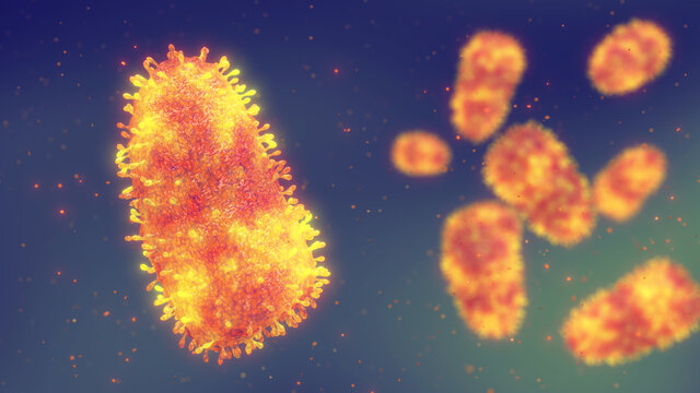 Rabies is a viral disease of the nervous system that causes deadly brain inflammation, Illustration of Rabies virus causing infection.
