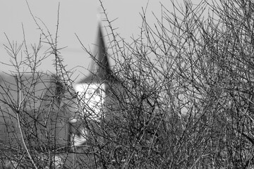 view of ablurry  church behind twigs in monochrome