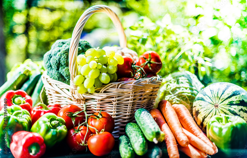 Wall mural variety of fresh organic vegetables and fruits in the garden