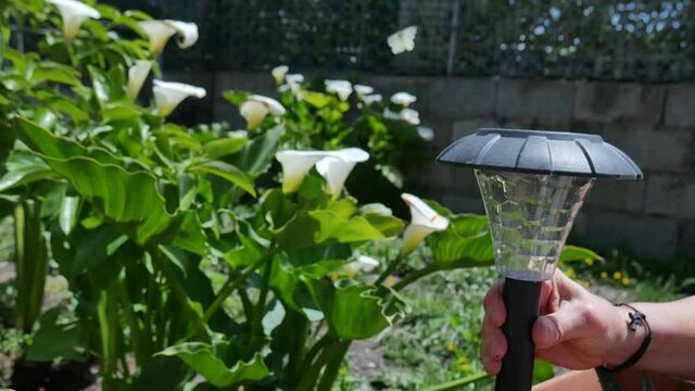 close up of solar garden lights with the solar panel in a garden garden 