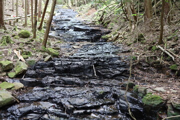 黒い石に流れてる滝