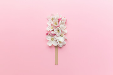 Flat lay on pink background with apple blossom ice cream lolly on a stick