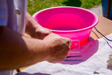 Veterinarian tightens screw on examination glass with a tissue sample to test meat on parasites