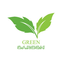 Leaf icon Vector Illustration design Logo template