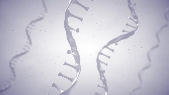 Animation of Single strand ribonucleic acid. RNA research and therapy concept.